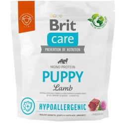 Brit Care Hypoallergenic Puppy Lamb koeratoit 1kg