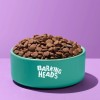 Barking Heads koeratoit Golden Years eakale koerale 12kg