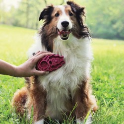 KONG Zoomgroom Raspberry hari