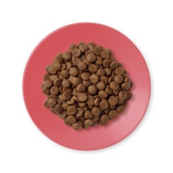Applaws kuivtoit kassidele, kana- ja pardilihaga, 2kg