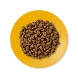 Applaws kuivtoit kassipoegadele, kanalihaga, 400g