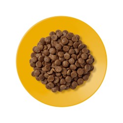 Applaws Senior kuivtoit eakatele kassidele, kanalihaga, 400g