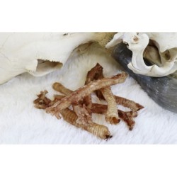 Tessa kuivatatud sea...