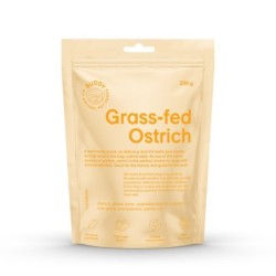 Buddy koera maius...