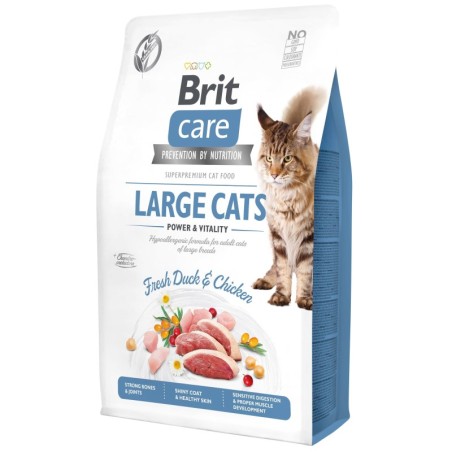 Brit Care Cat Grain-Free Large cats Power Vitality 2kg