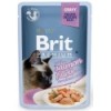Brit Premium einekotike kassile Salmon Fillets in Gravy 85g
