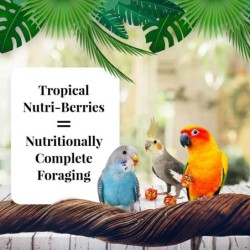 Nutri-Berries lindude täissööt Tropical Fruit Cockatiel 284 g