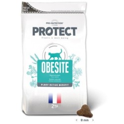 Protect Cat Obesite...