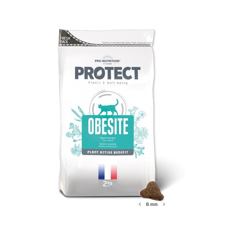 Protect Cat Obesite Ülekaalulistele Kassidele 2kg