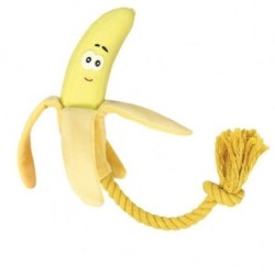 Record koeralelu banaan 49cm