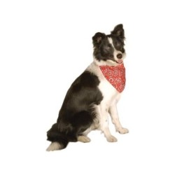 Record koerarihm rätikuga L 55-65cm punane